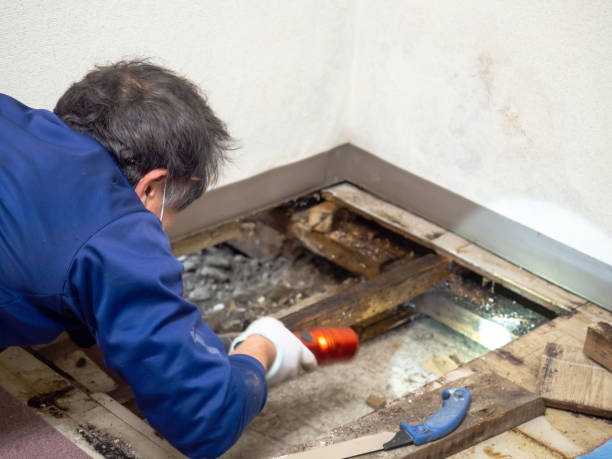 Best Water Damage Restoration  in Point Marion, PA