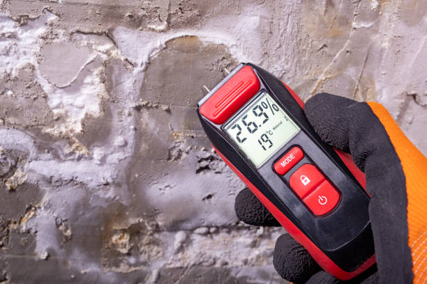 Best Attic Mold Removal  in Point Marion, PA